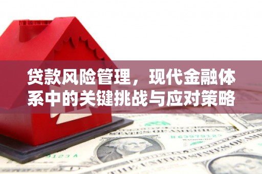 玛曲贷款风险管理，现代金融体系中的关键挑战与应对策略