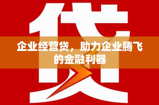 武穴企业经营贷，助力企业腾飞的金融利器