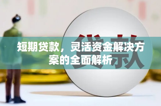 中和短期贷款，灵活资金解决方案的全面解析
