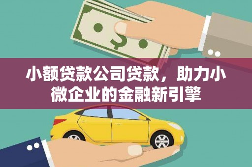 西华小额贷款公司贷款，助力小微企业的金融新引擎