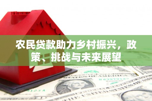 茶陵农民贷款助力乡村振兴，政策、挑战与未来展望