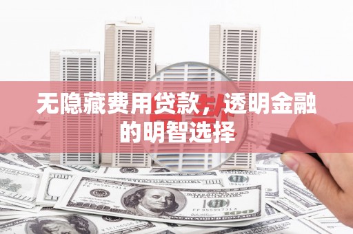 汤阴无隐藏费用贷款，透明金融的明智选择
