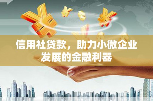 当阳信用社贷款，助力小微企业发展的金融利器