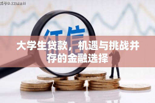 苏家屯大学生贷款，机遇与挑战并存的金融选择