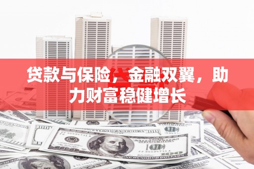 新界贷款与保险，金融双翼，助力财富稳健增长