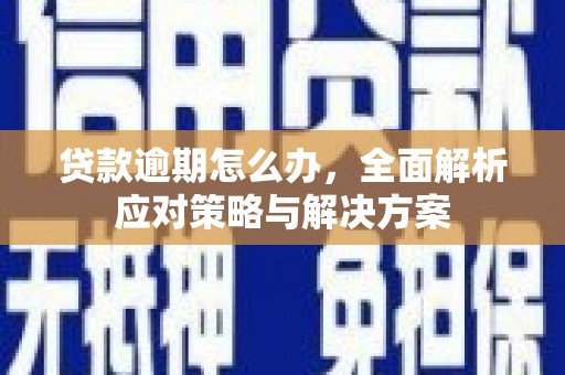 洞头贷款逾期怎么办，全面解析应对策略与解决方案