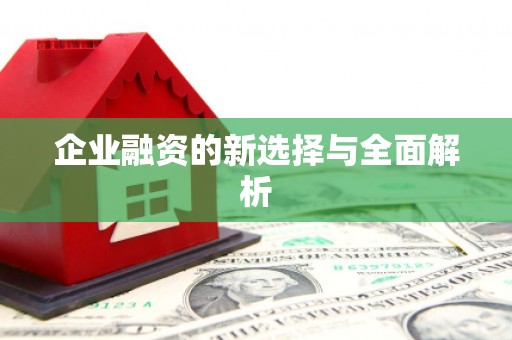 新埤企业融资的新选择与全面解析