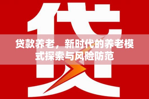 泗阳贷款养老，新时代的养老模式探索与风险防范