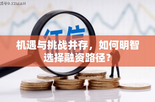 咸宁机遇与挑战并存，如何明智选择融资路径？