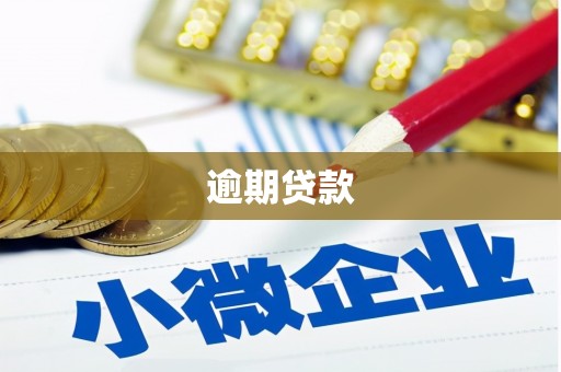 宜城逾期贷款