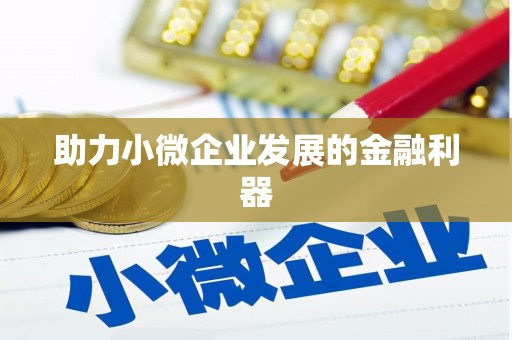 错那助力小微企业发展的金融利器